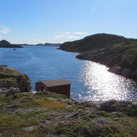 The Old Salt Box Co. - Daisy'S Place Herring Neck Exteriér fotografie